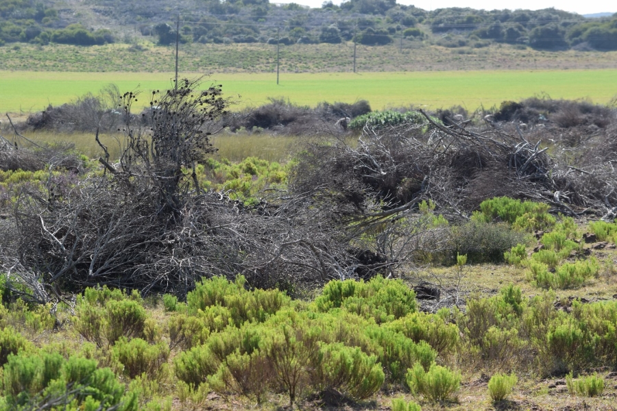  Bedroom Property for Sale in Stilbaai Rural Western Cape